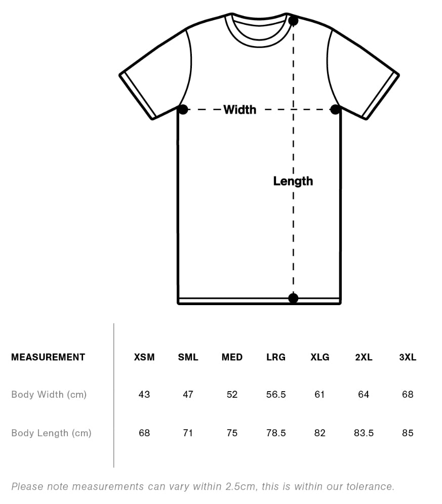 Men's Regular Fit T-Shirt (Charcoal)